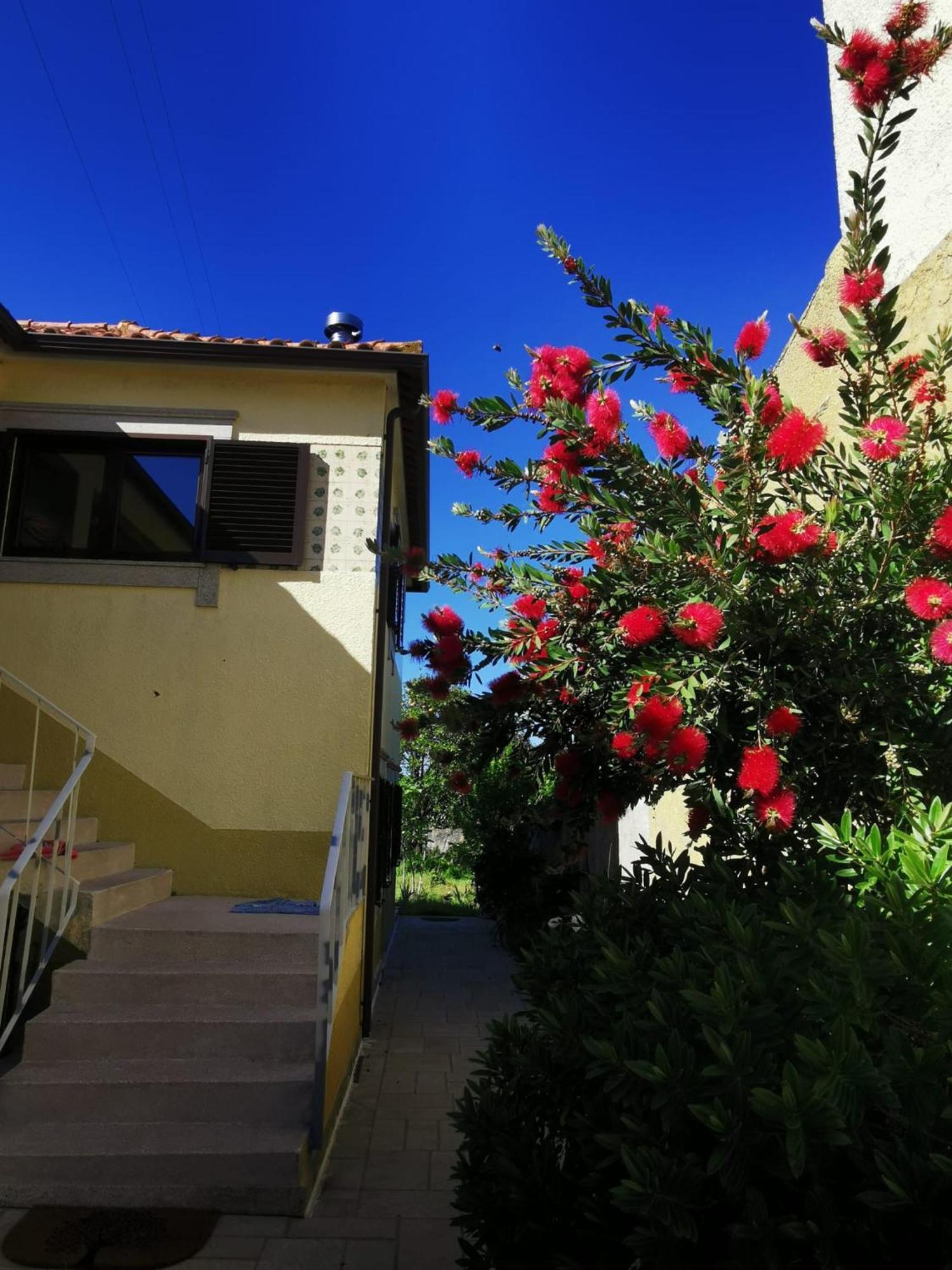 Bed and breakfast Casa Sao Pedro Belinho Only Pilgrims Extérieur photo